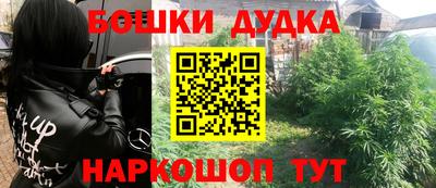 гидропоника Дубна