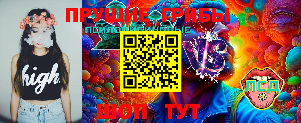 Новошахтинск  Галлюциногенные грибы Psilocybe  Вход с VPN 