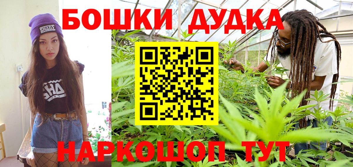 Конопля сатива Новошахтинск